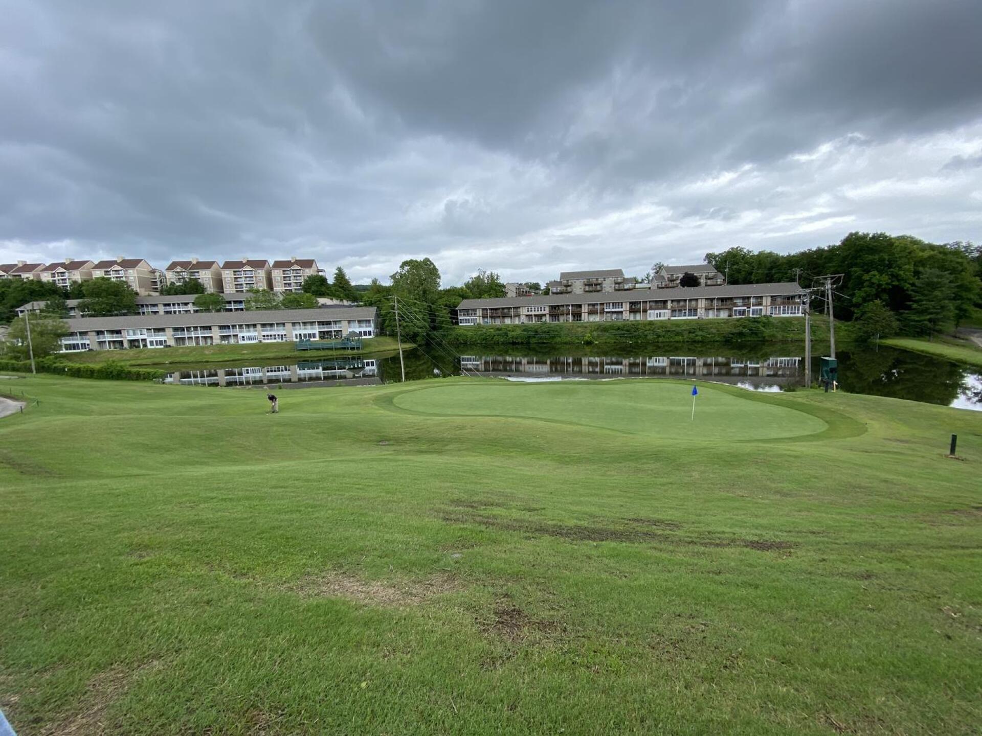 (Photo submitted by crisp1414 on 06/02/2021)