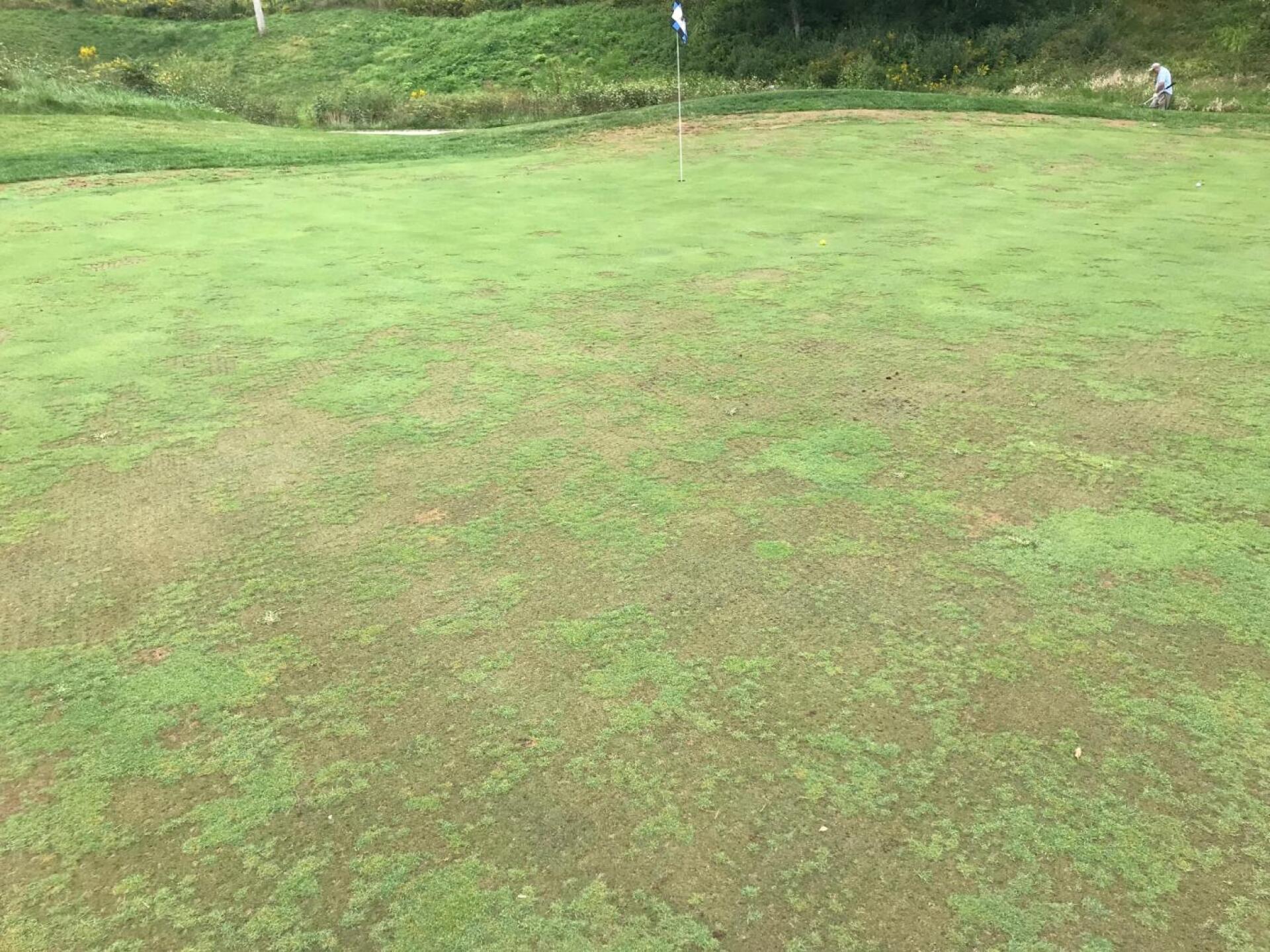 (Photo submitted by lcbgolf on 09/22/2019)