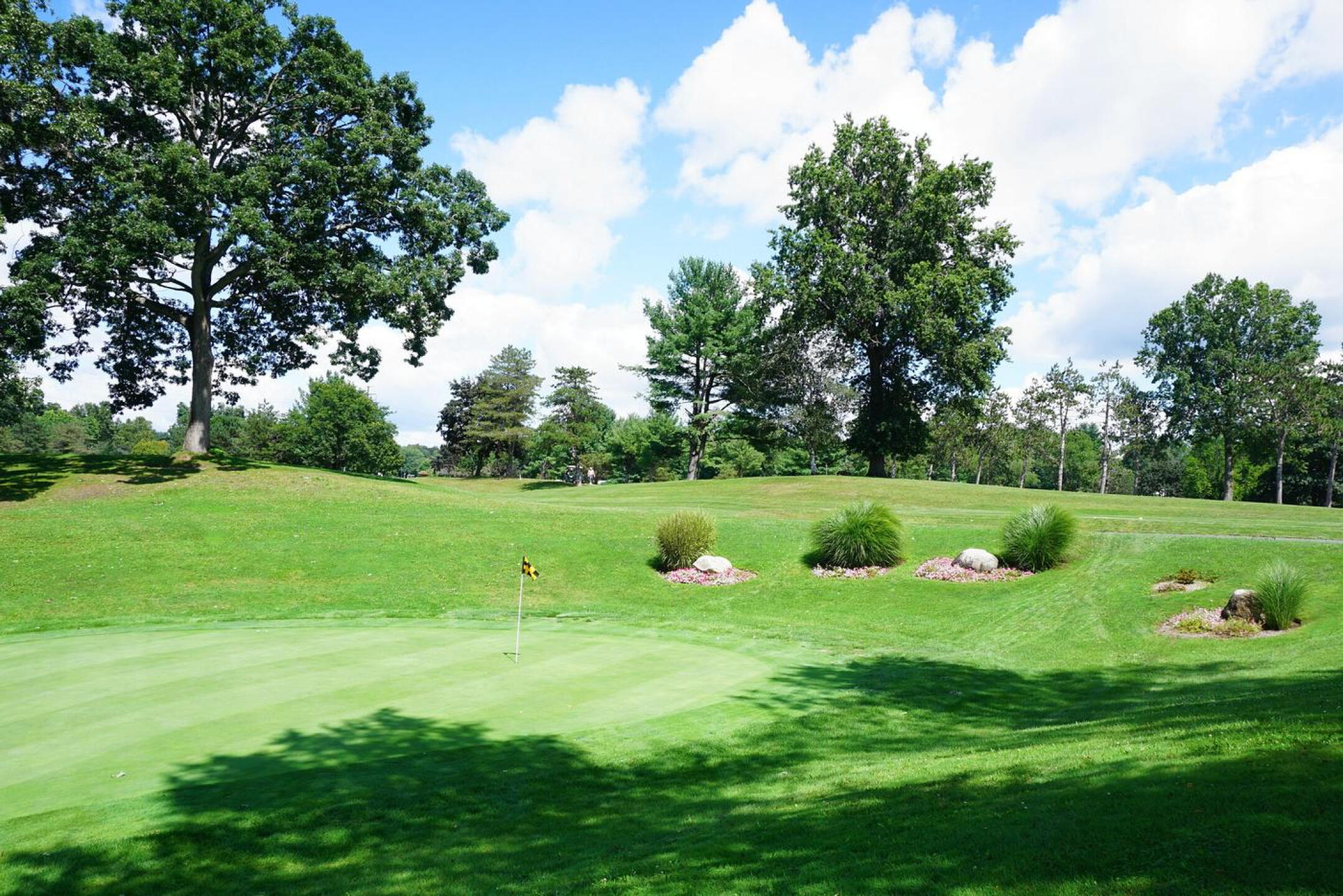 The green, seen from right flank, at the classic par-3 8th. The tee shot plays over a water hazard. (Photo submitted by AptlyLinked on 08/25/2021)