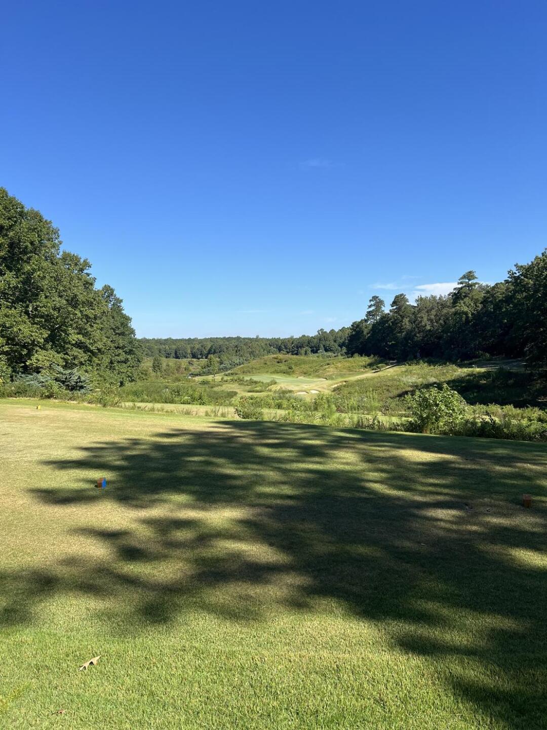 One of the best Par 3's in the country. (Photo submitted by JustaGOONER on 09/06/2025)