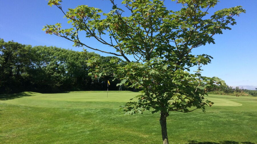 Donaghadee GC