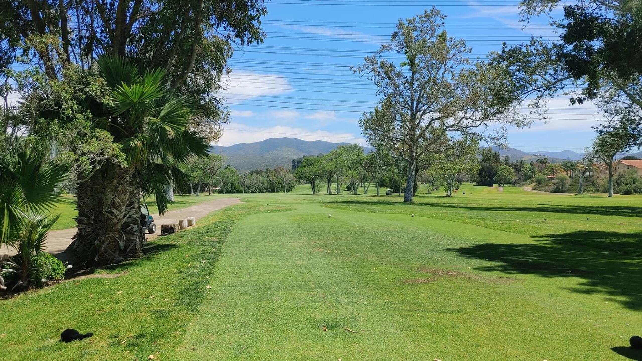 Par 5 tee box and fairway. Pretty view. (Photo submitted by kihei7 on 04/19/2022)