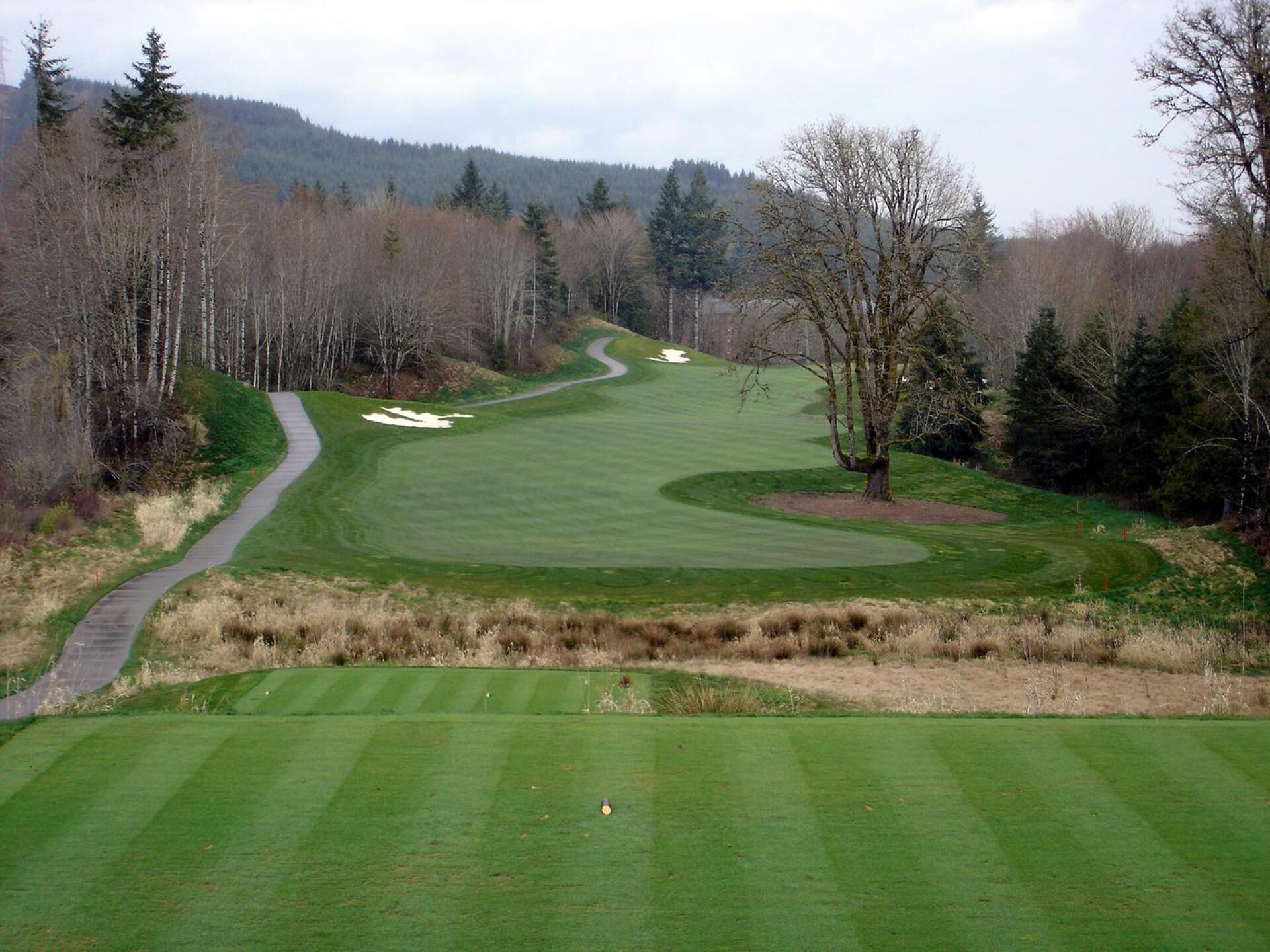 Salish Cliffs GC, Hole 1, Par 5, 532 yds (Photo submitted by DYakimec on 06/27/2015)