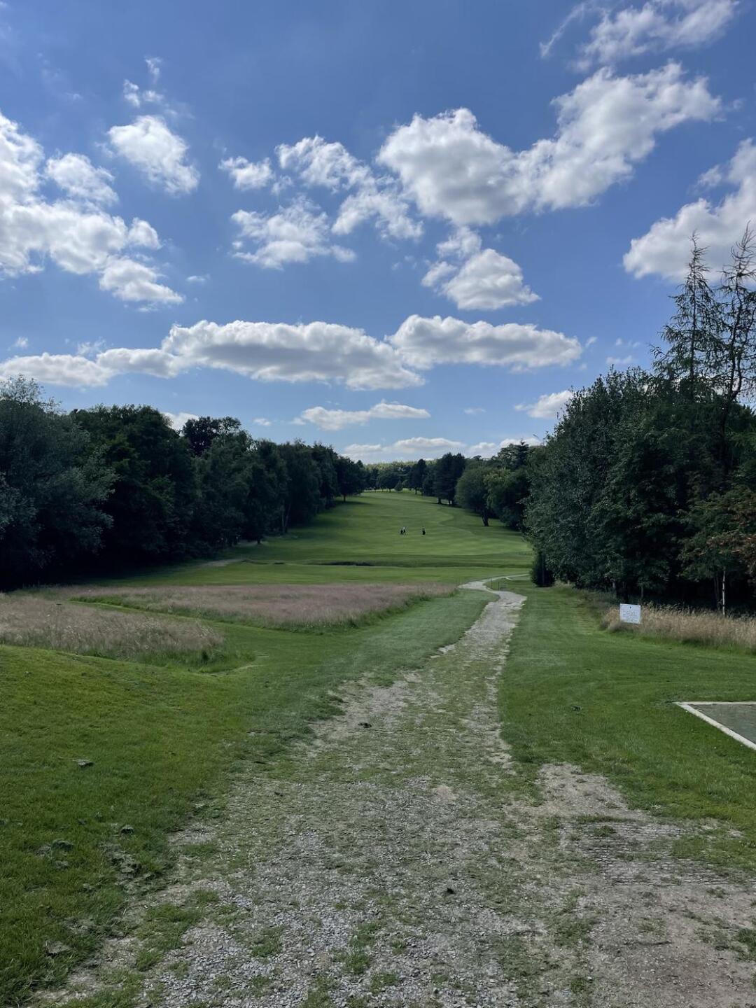 (Photo submitted by u314163427925 on 07/20/2024)