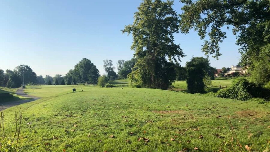 Pinecrest GC