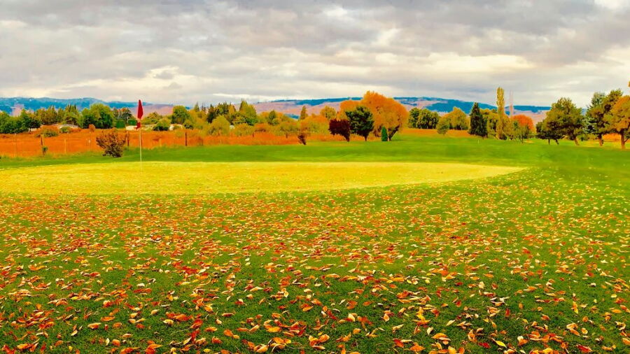 Ellensburg GC
