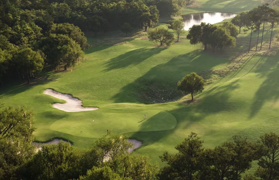 Cabot Citrus Farms - The Roost: #14