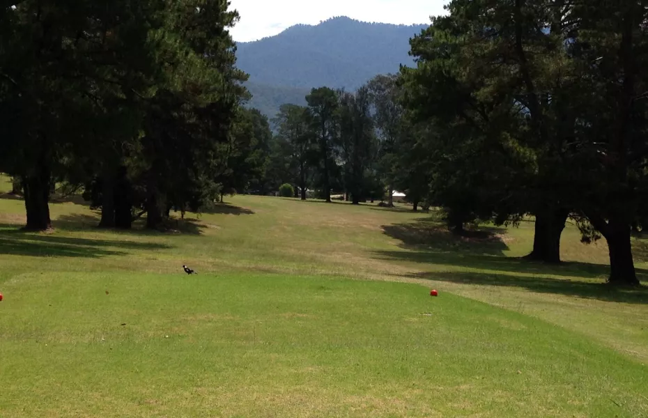 Mount Beauty GC: #16