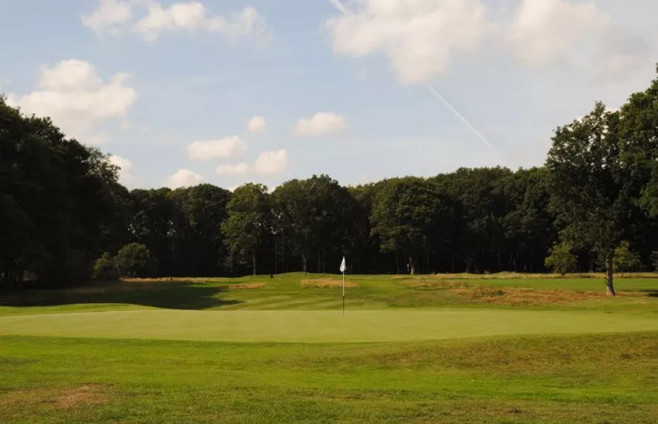 Thorndon Park GC: #2