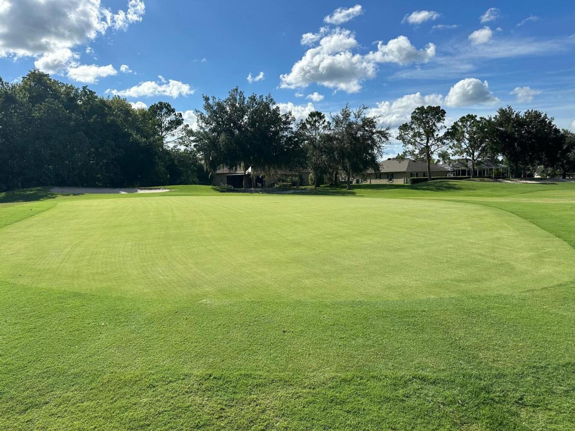 (Photo submitted by Q8jeefVLeNZi0Qb0I2LN on 06/27/2024)