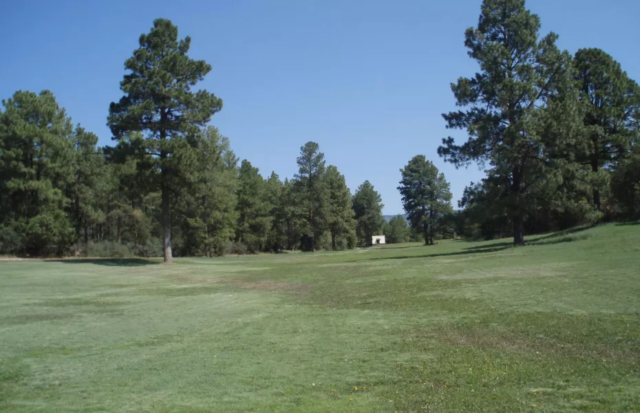 Timberon GCC: #6