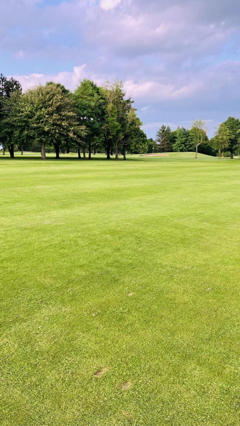 (Photo submitted by u132618210 on 06/06/2024)