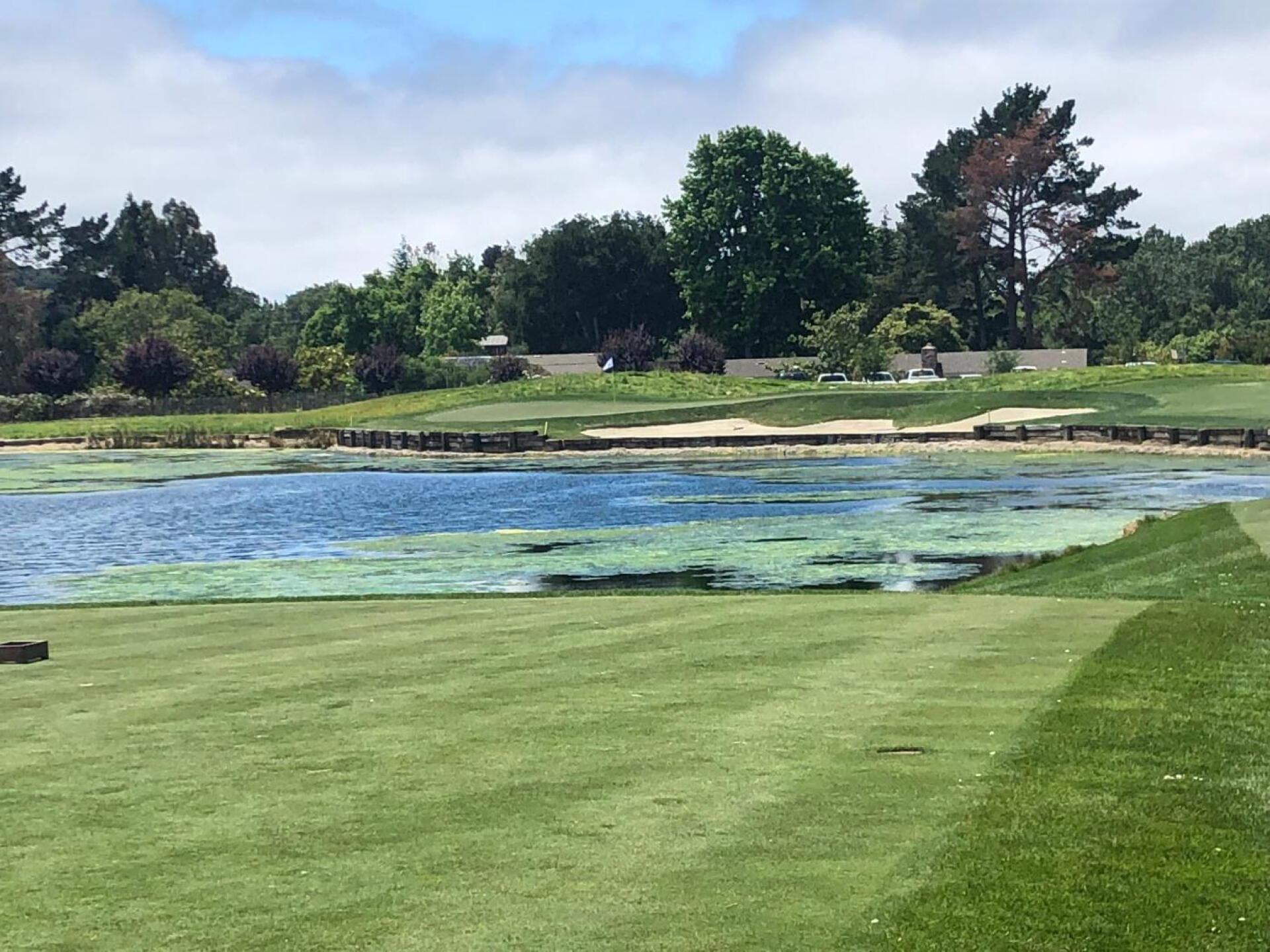 Par 3 (Photo submitted by dirtcakes on 06/17/2019)