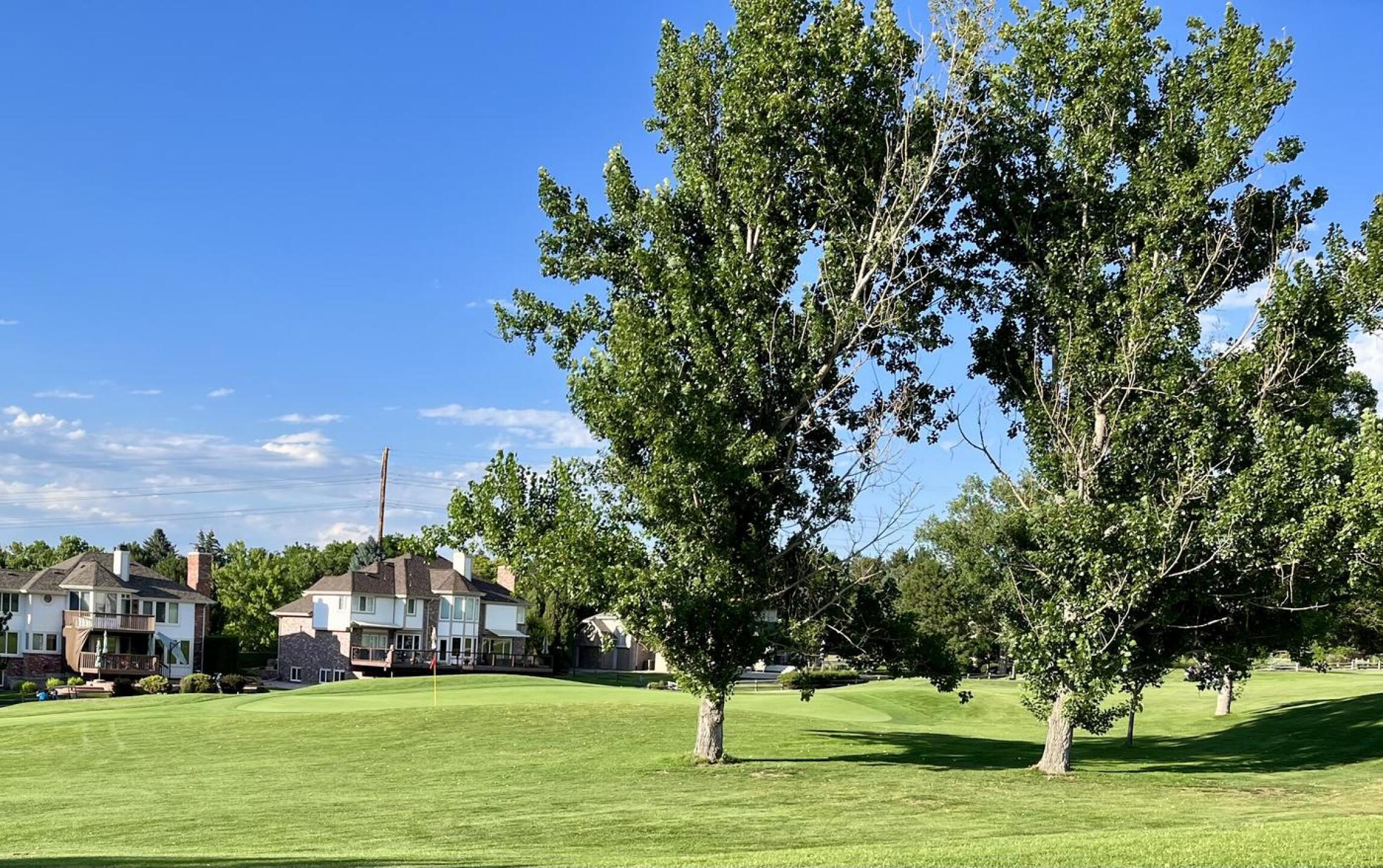 (Photo submitted by QuantumGolfx on 07/13/2023)