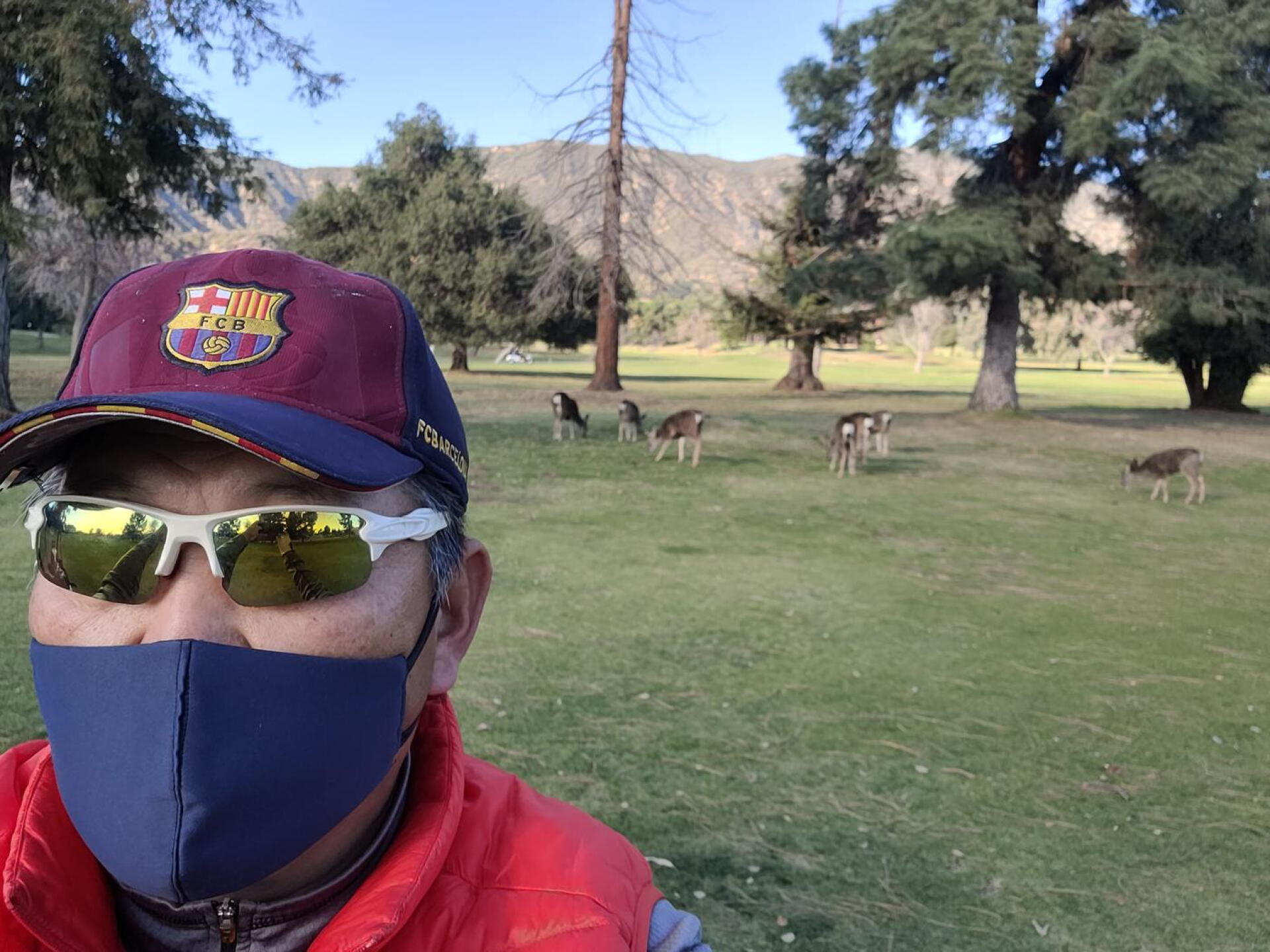 deers leisurely enjoying their day at golf course (Photo submitted by shwanste1 on 01/27/2021)