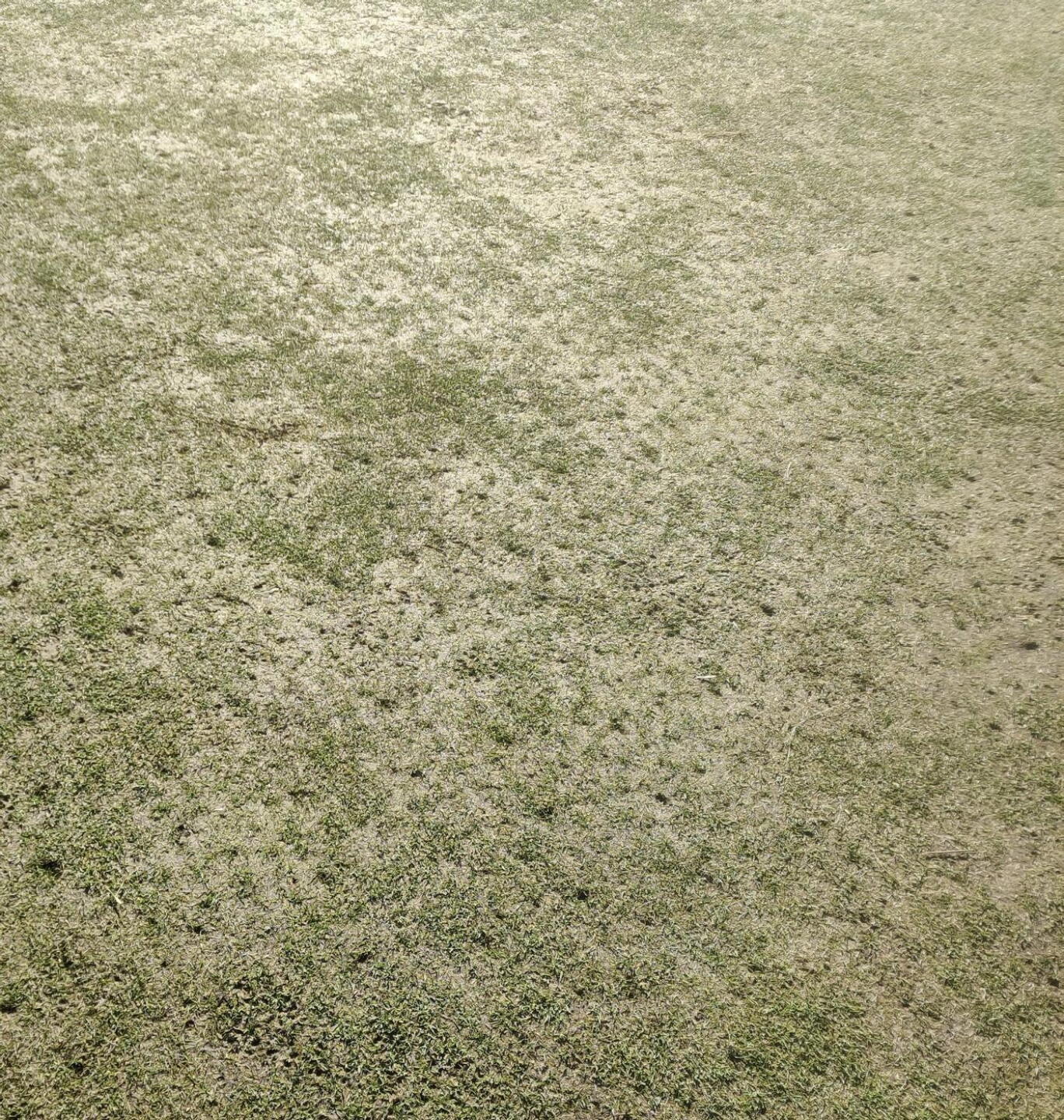 5th green (Photo submitted by mattandrews182 on 02/08/2025)