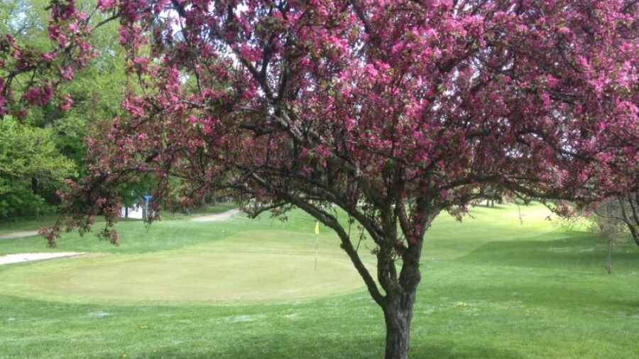 Oneida Community GC