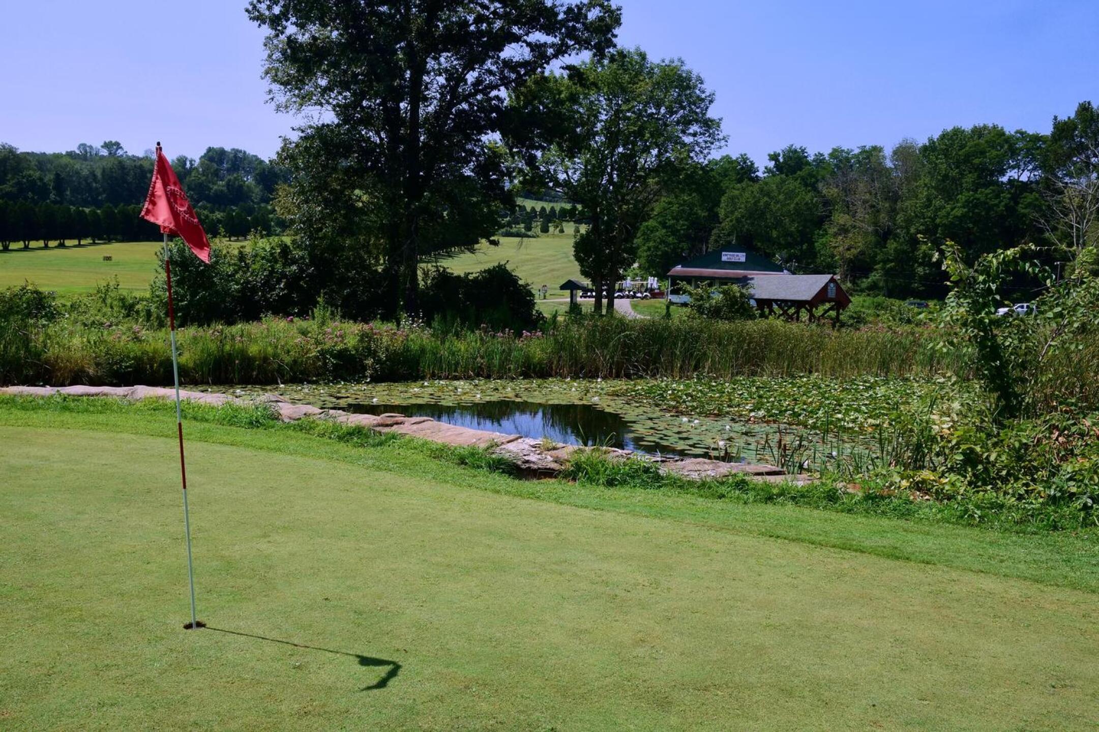 The green at the 160-yard ninth hole sits a few feet above a lily pond. This is the view to the Vineyard Valley GC clubhouse. (Photo submitted by AptlyLinked on 08/13/2025)