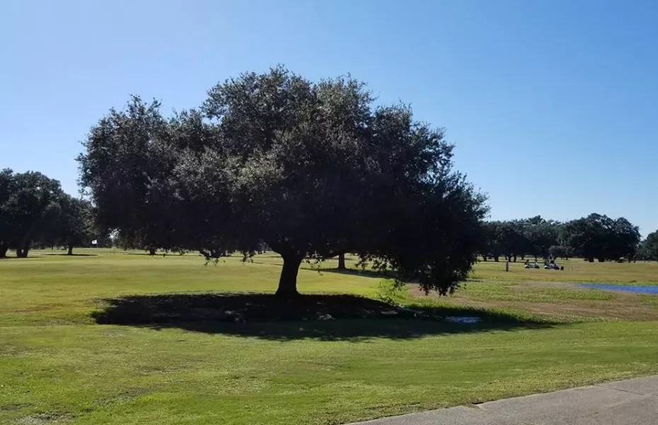 Bayou Oaks CC
