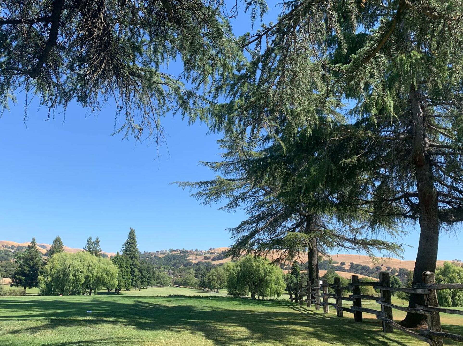 (Photo submitted by conniestraub on 08/25/2020)