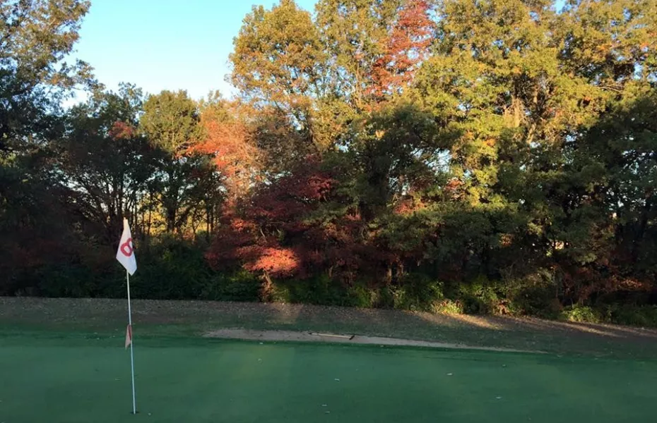 Hillsboro CC: #8