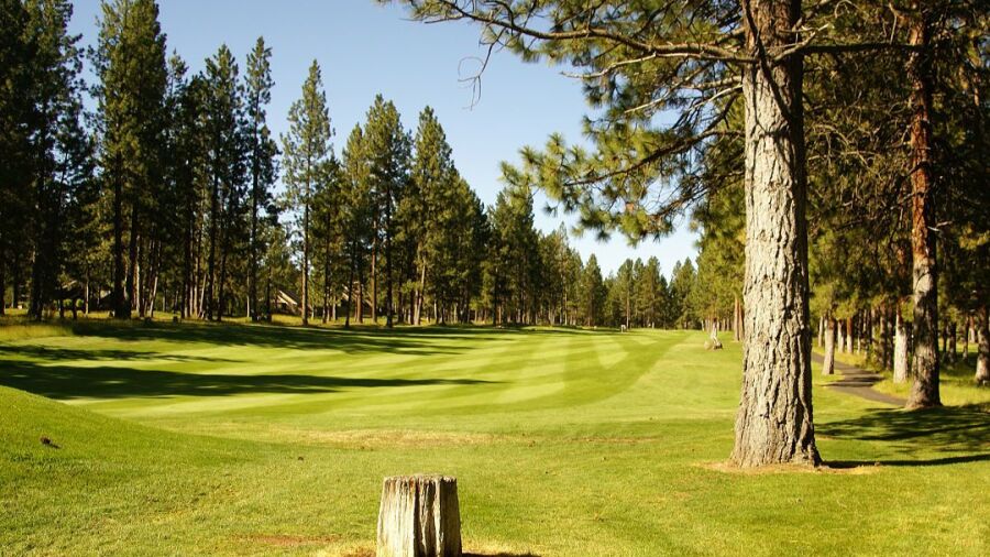Widgi Creek GC: #9