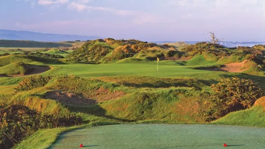 Pacific Dunes: #14