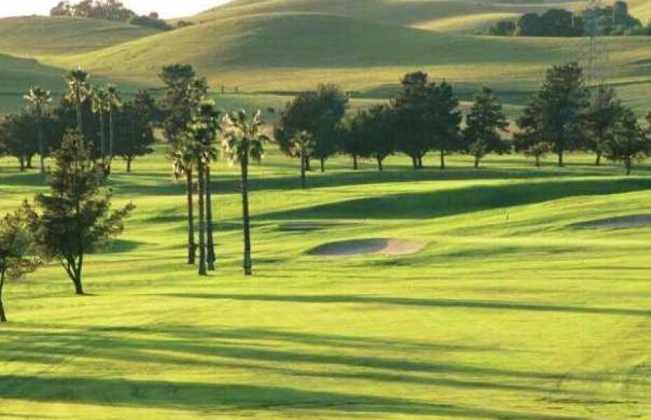 Palm at Sunol Valley Golf Course in Sunol California USA GolfPass Palm at Sunol Valley Golf Course in Sunol California USA GolfPass