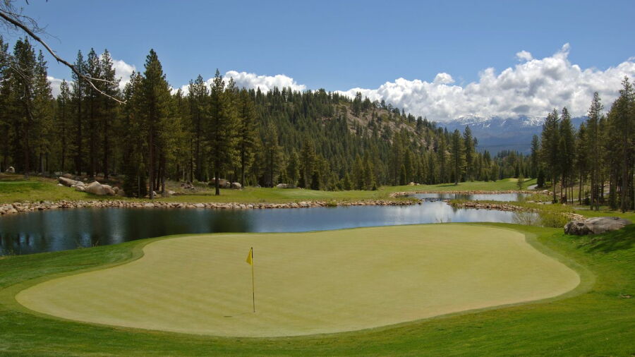 Coyote Moon GC: #16