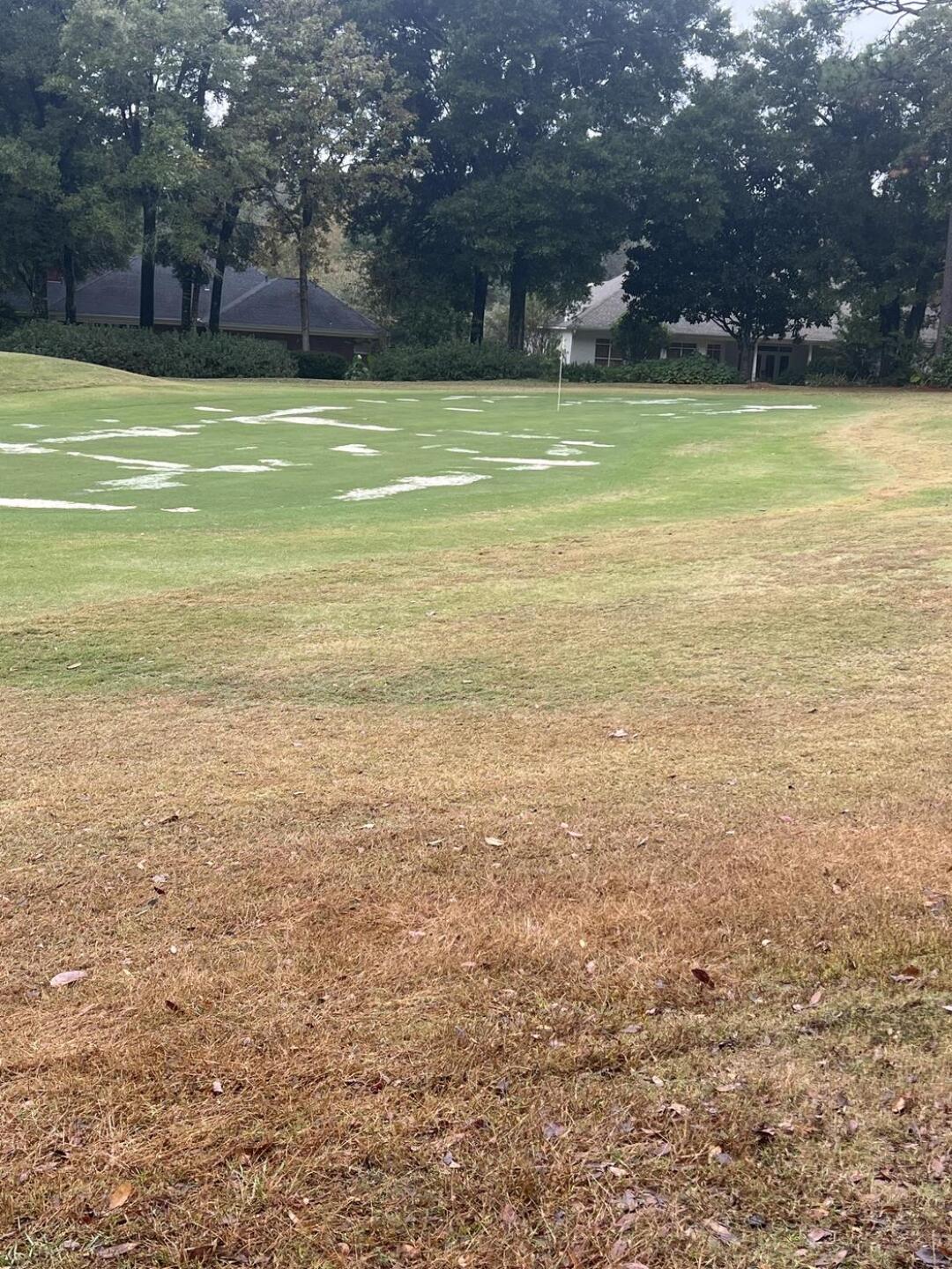 Greens (Photo submitted by u8279225 on 11/18/2023)