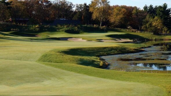 White Hawk CC - Black Hawk: #2