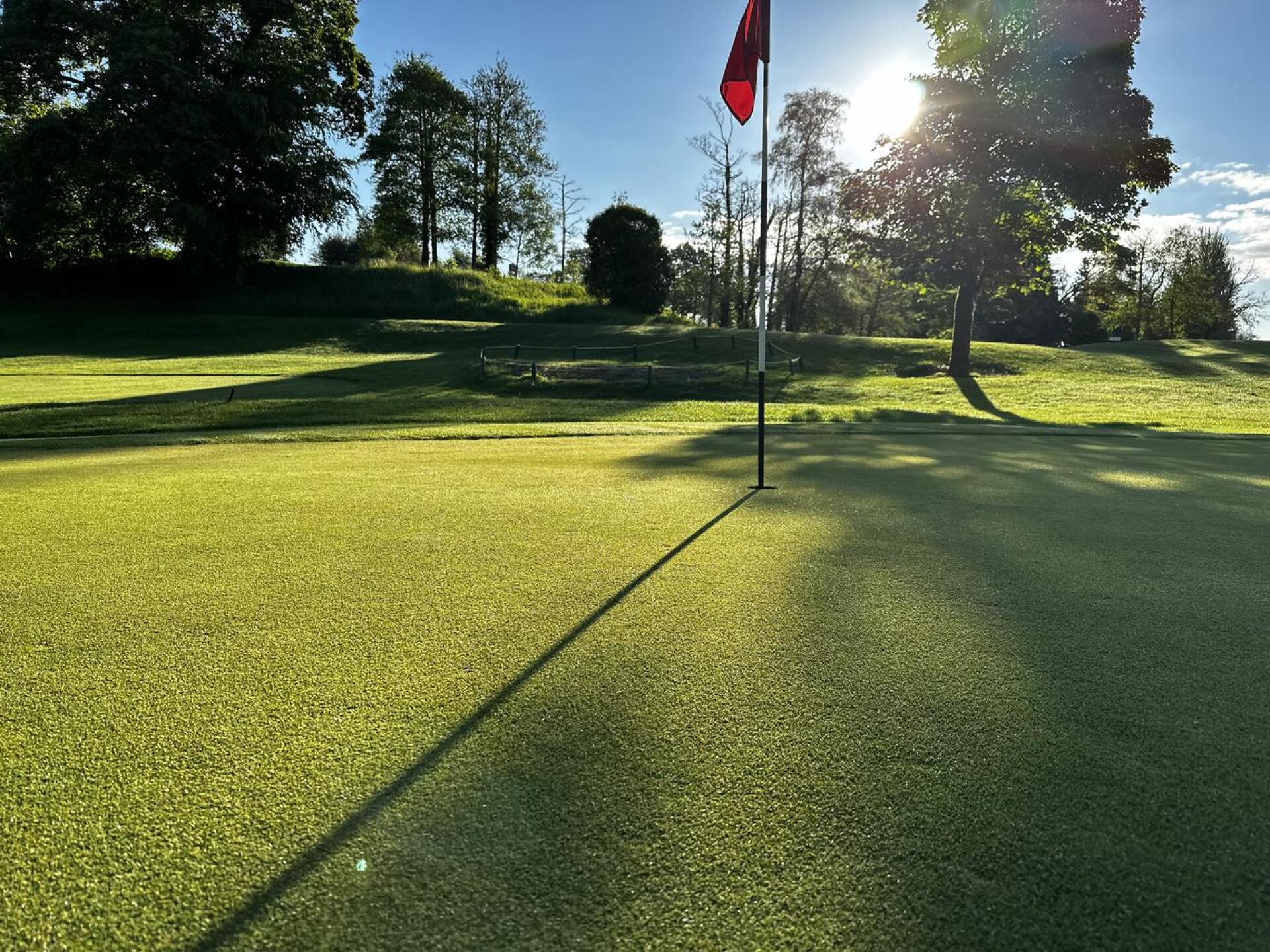 can't get much better (Photo submitted by Kurri17 on 05/27/2024)