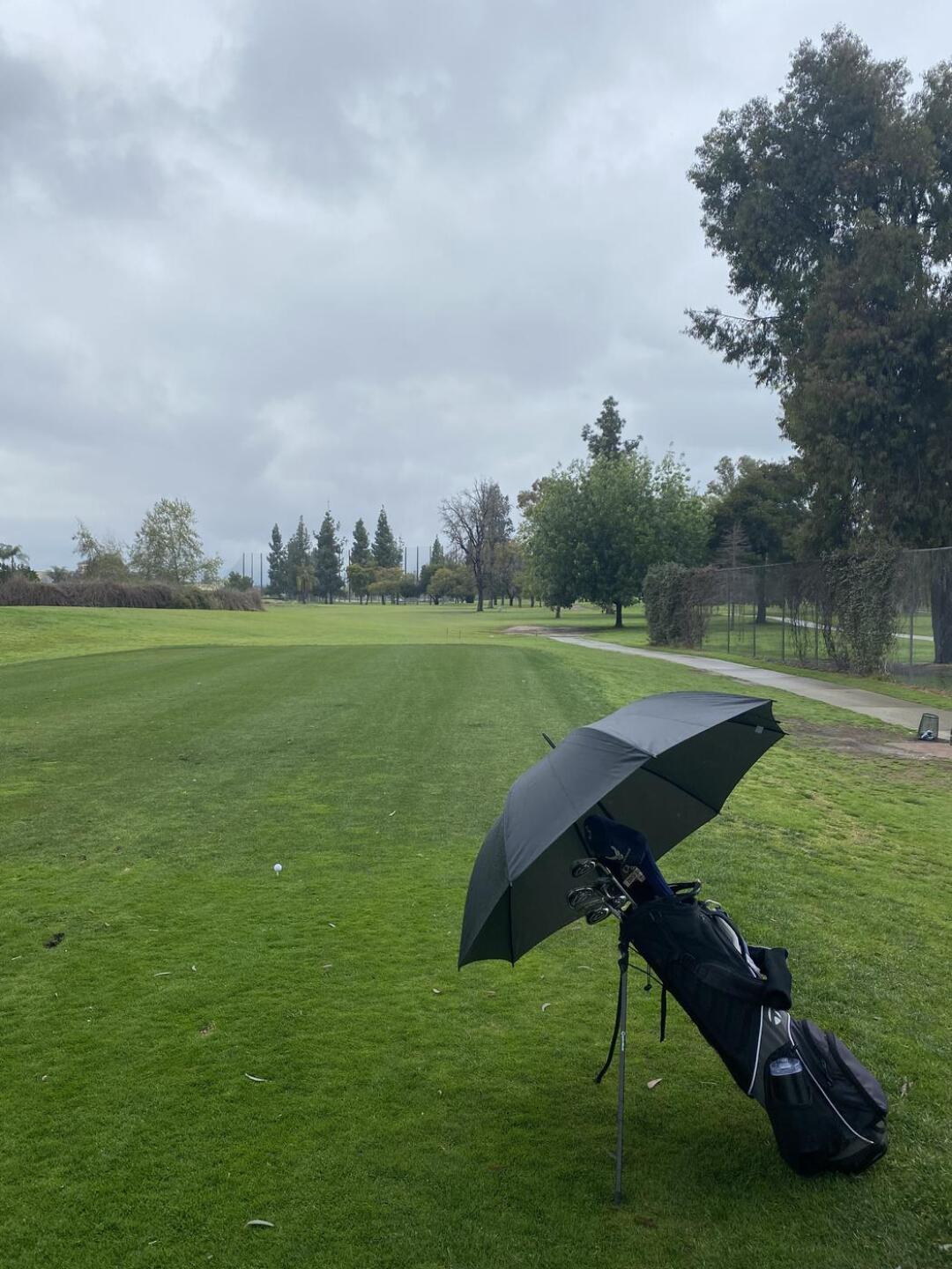 (Photo submitted by u392456594 on 03/11/2023)