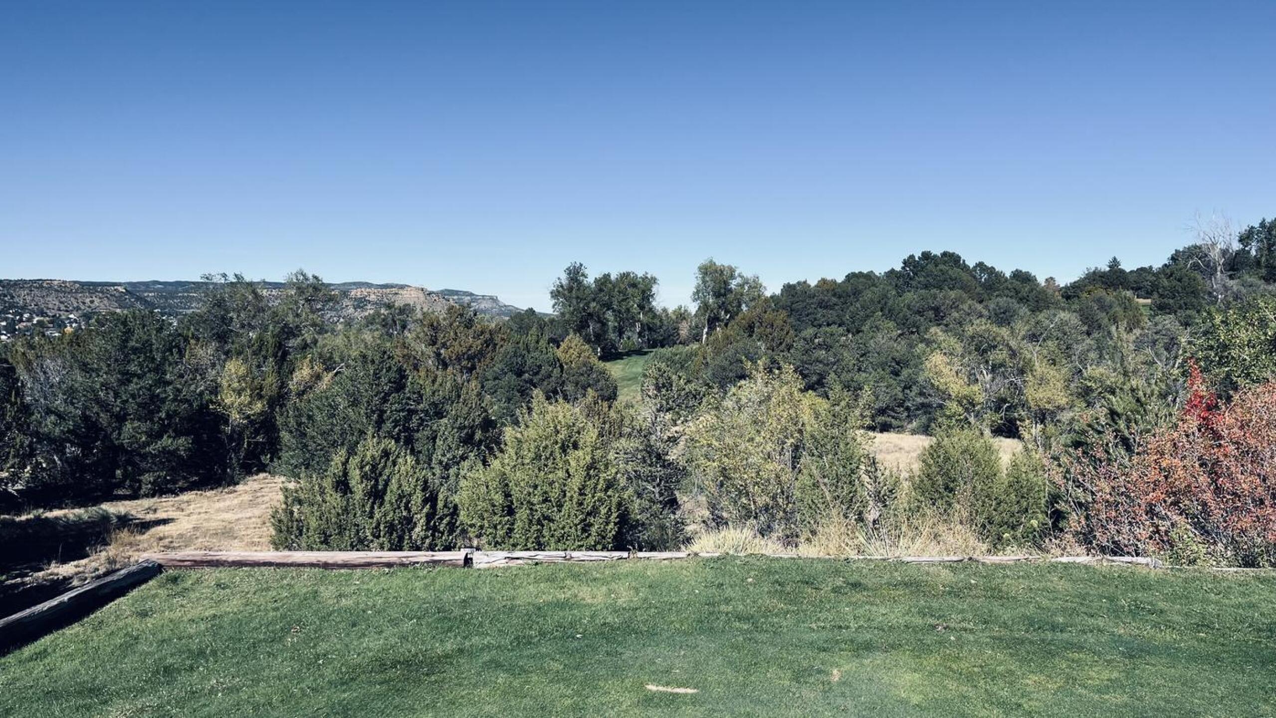 (Photo submitted by UUuPsc2jgLSdMs01QwRv on 10/24/2024)