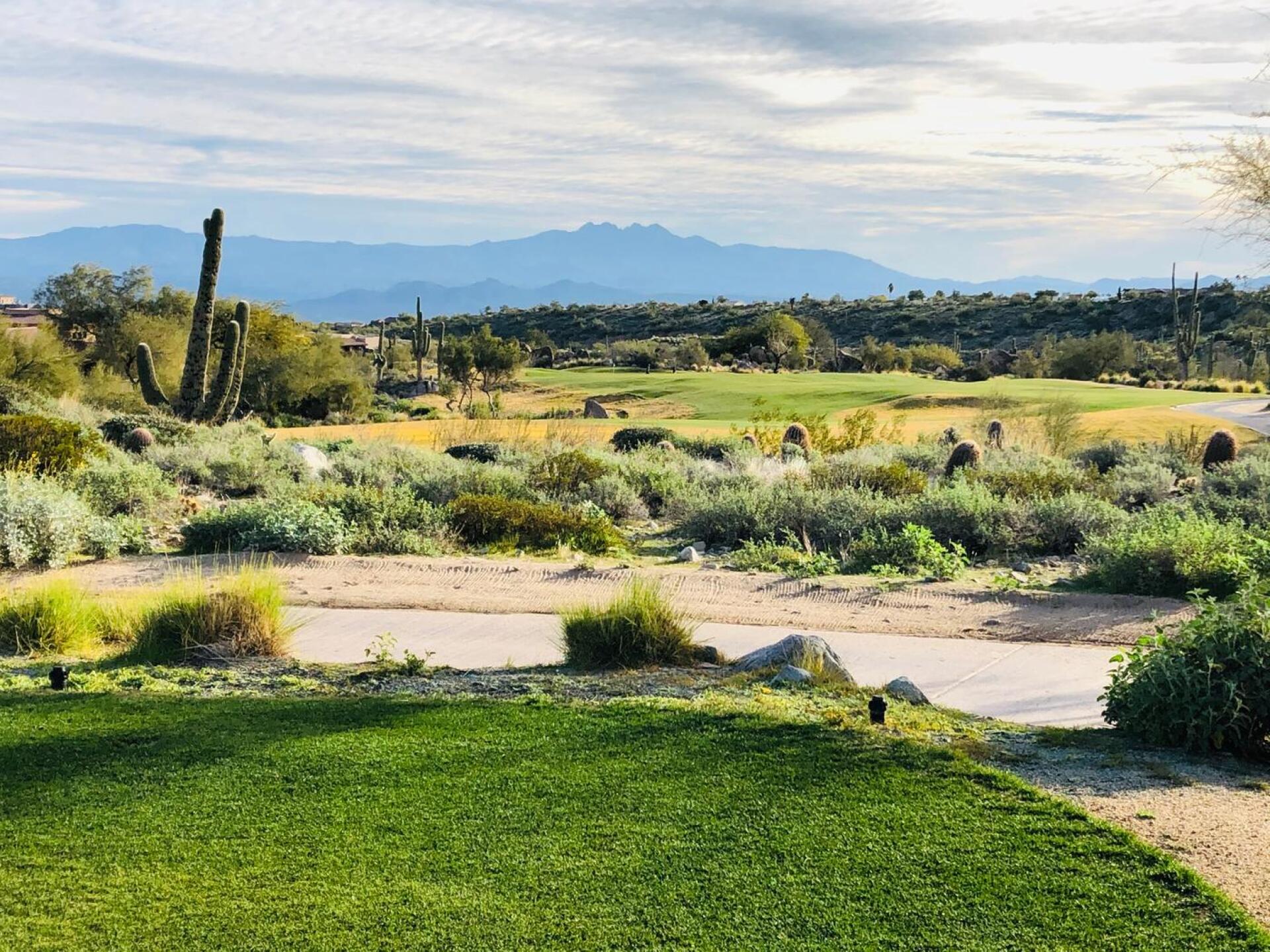 View from #1 Tee (Photo submitted by u705588131 on 07/07/2020)