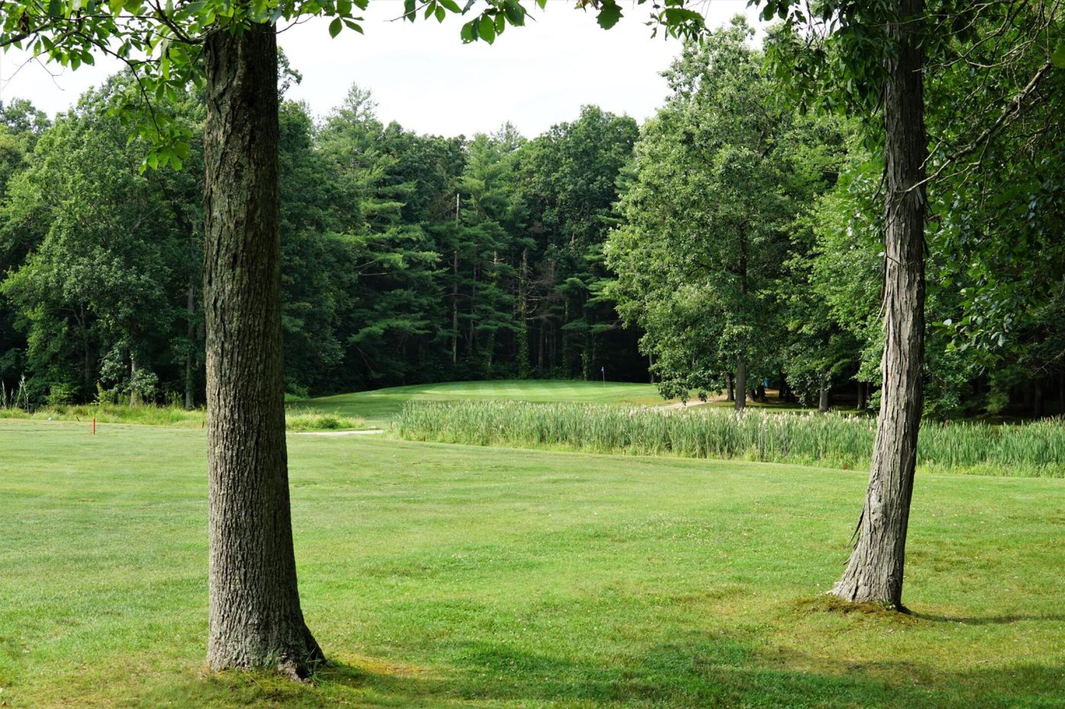 A par-4 playing downhill into the green, the sixth is strategic but also aesthetic. (Photo submitted by AptlyLinked on 07/14/2023)