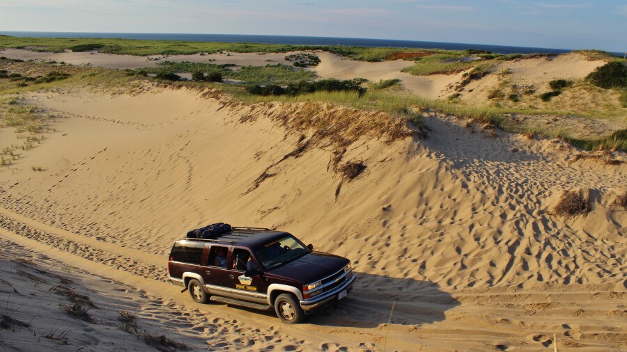 Art's Dune Tours in Cape Cod