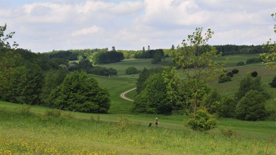 Lullingstone Park GC - Valley