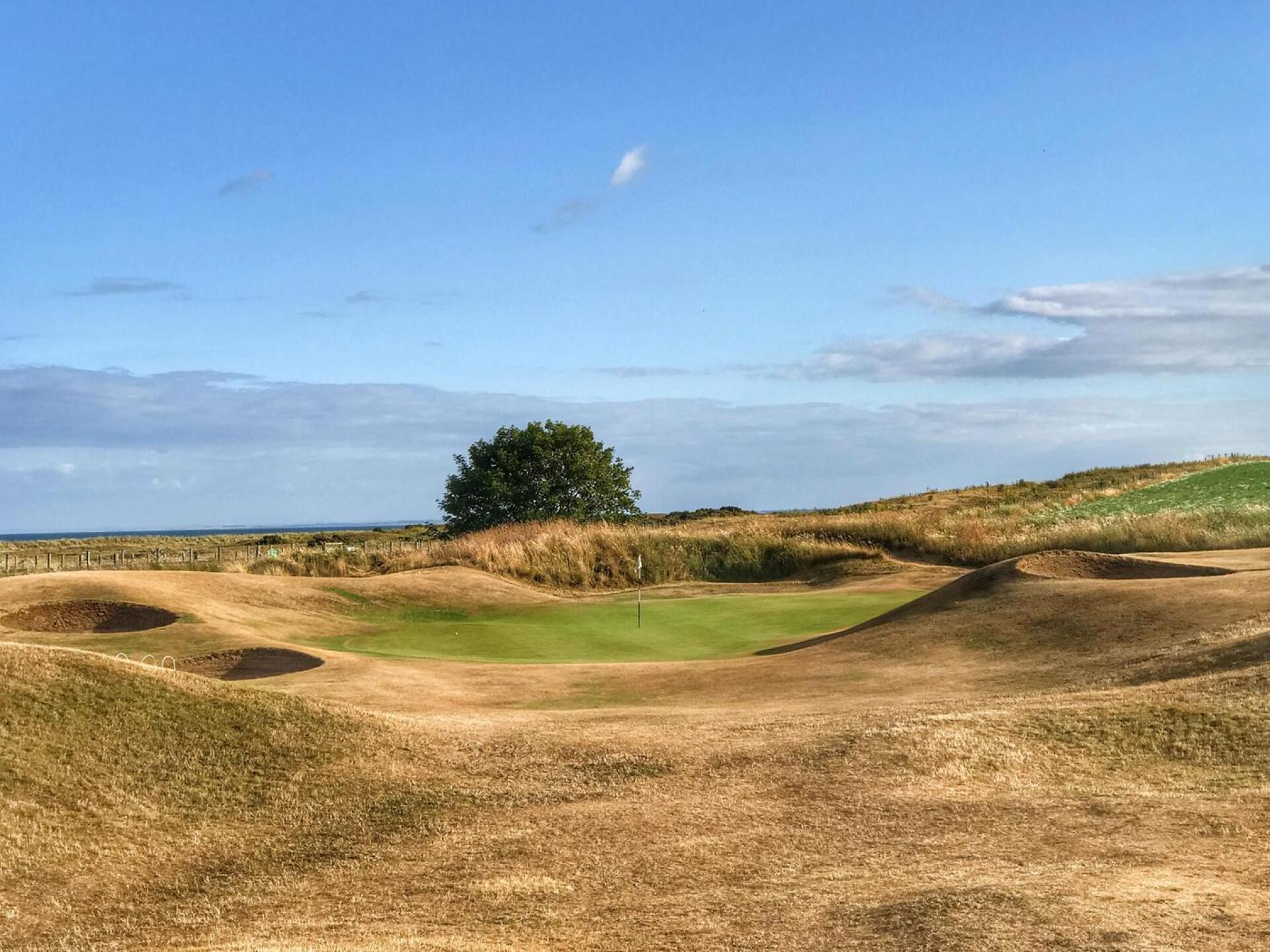 (Photo submitted by BrandonTuckerGA on 07/18/2018)