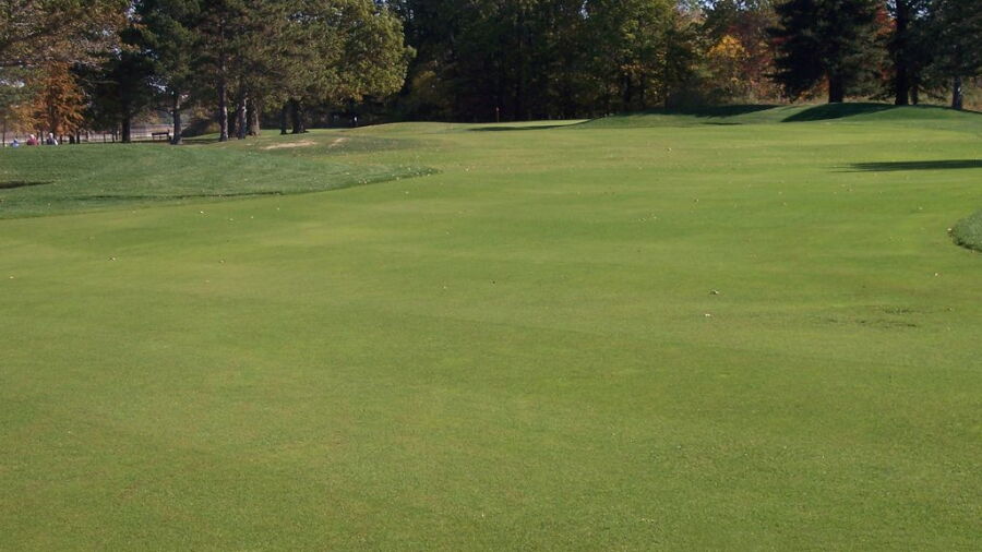 Lost Nation GC