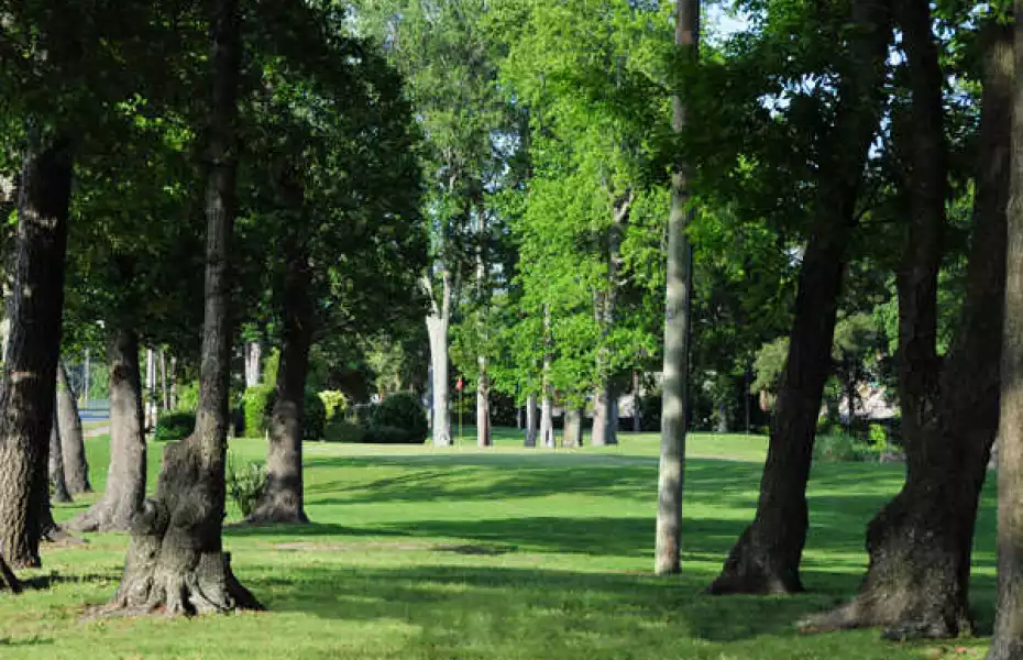 Midway Par-3 - North Nine: #3