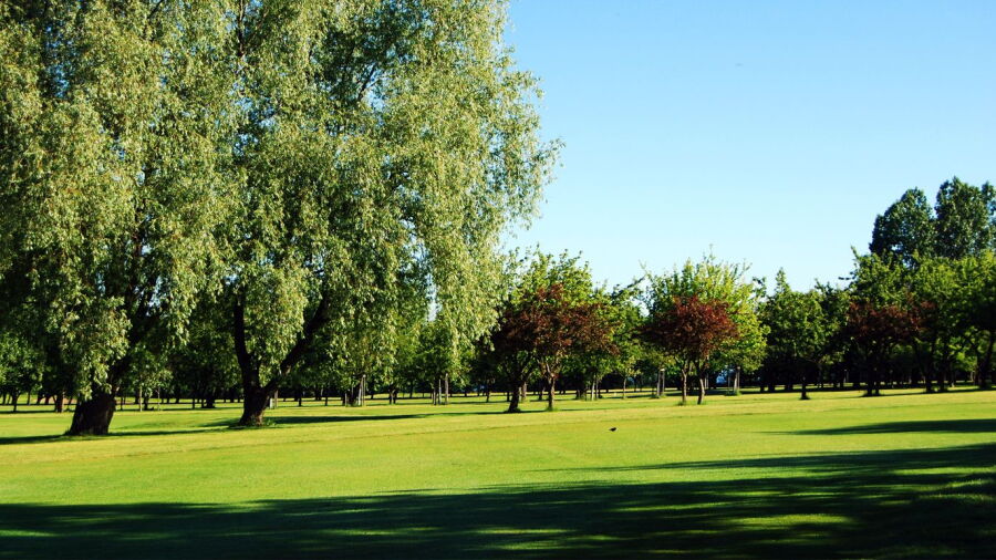 St. Ibb GC