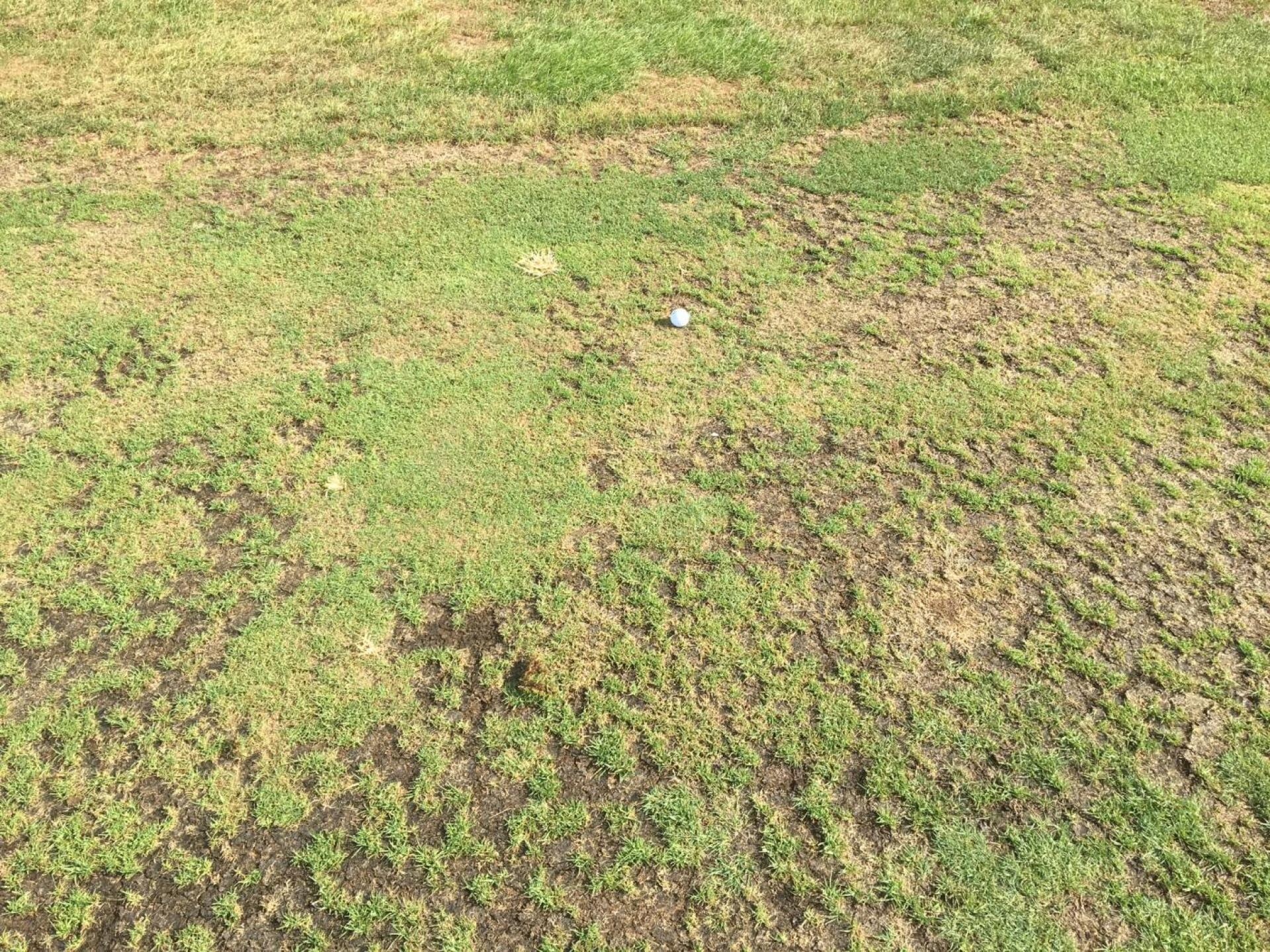 Bad fairway (Photo submitted by Aces2xlove2golf on 08/10/2019)