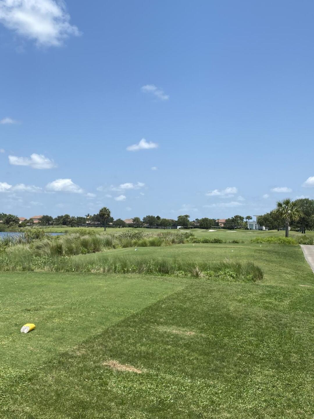 (Photo submitted by u314164076503 on 06/07/2023)