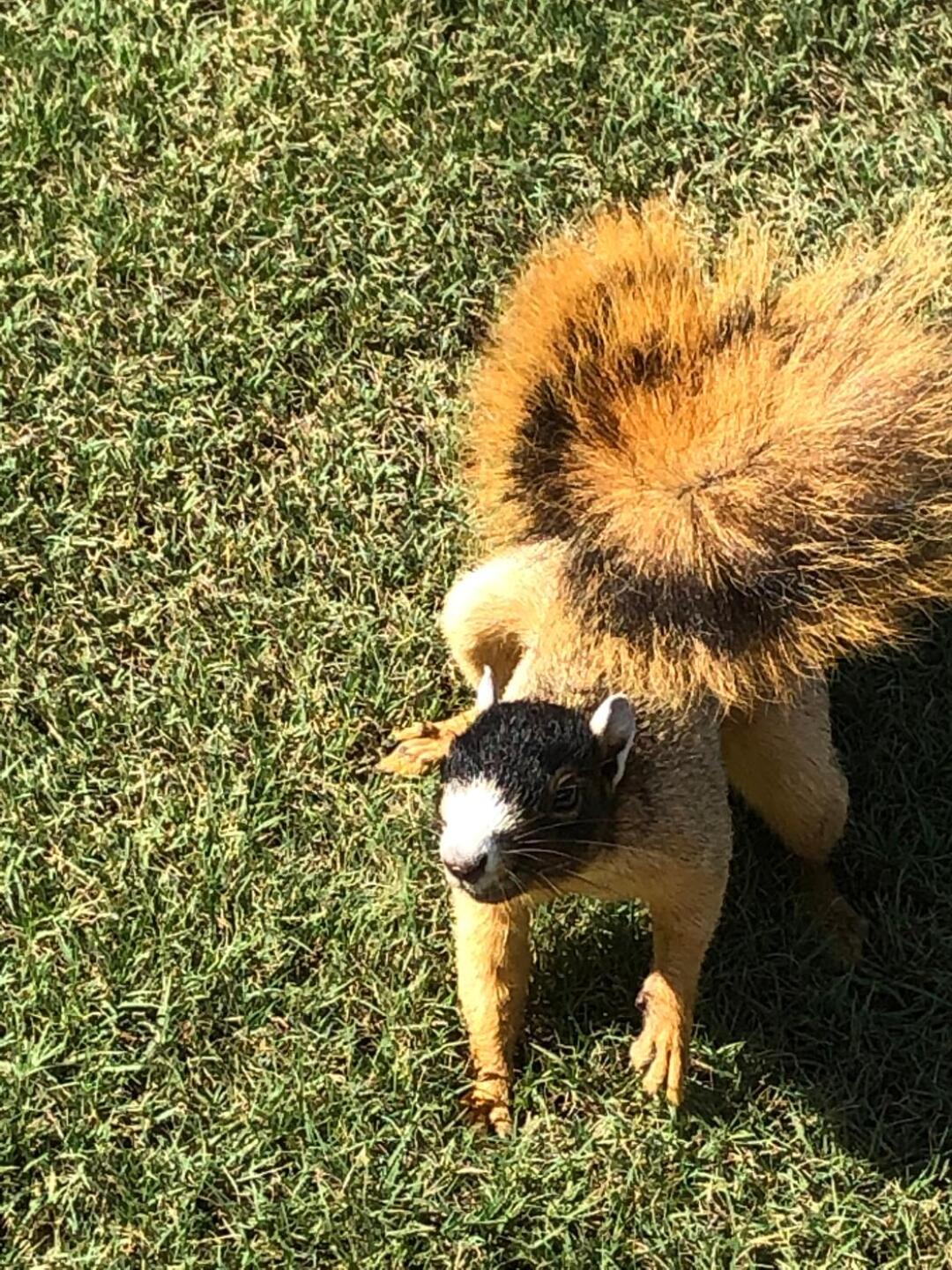 (Photo submitted by u314159603482 on 09/10/2019)