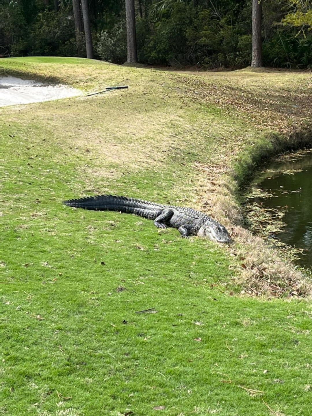 (Photo submitted by Ranteam1 on 03/19/2022)