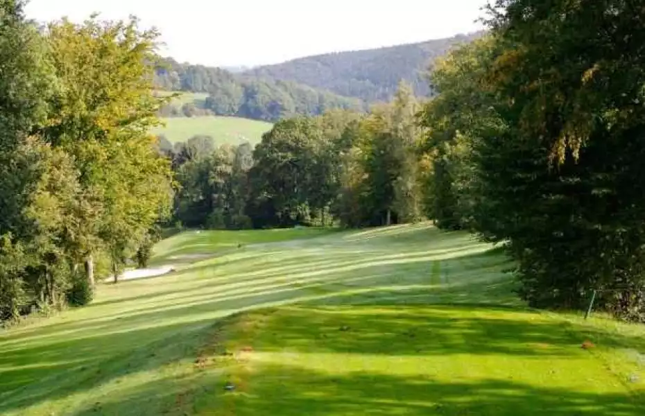 International Gomze GC