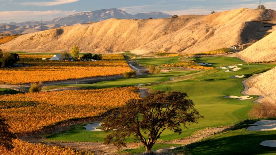 The Course at Wente Vineyards