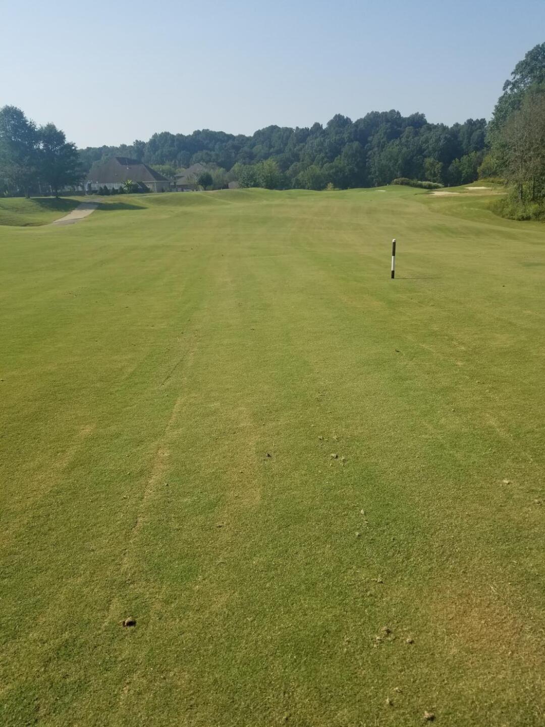Fairway (Photo submitted by ShortKnocker1 on 09/21/2019)
