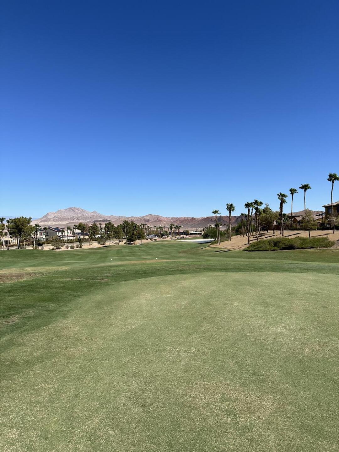 (Photo submitted by u314162719762 on 08/23/2024)